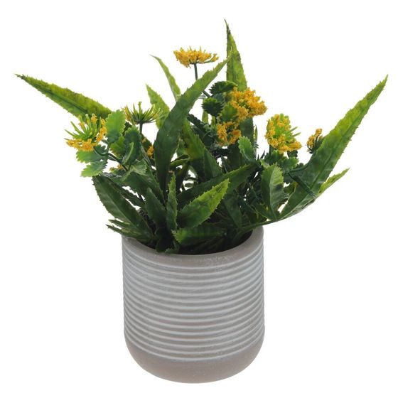 Цветочная композиция, L10 W10 H20 см, 3в.