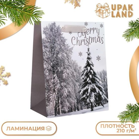 Пакет подарочный, ламинированный, &quot;Лесная атмосфера&quot;,18 х 23 х 10 см.