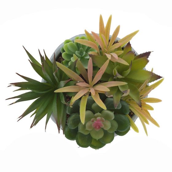 Цветочная композиция, L20 W20 H21 см