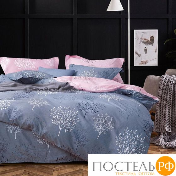 TPIG6-1150 КОД1038, Twill евро 4 наволочки, 50x70 (2 шт), 70x70 (2 шт), Сатин (Твил), Коробка