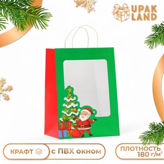 Пакет подарочный новогодний с окном &quot;Дед мороз&quot; 19 х 26 х 13 см.