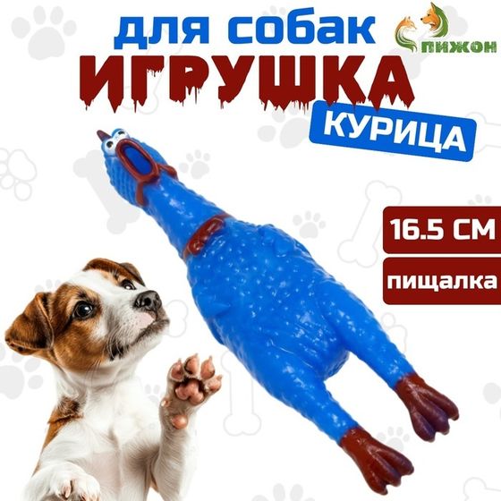 Игрушка пищащая &quot;Задумчивая курица&quot; малая для собак, 16,5 см, ярко-синяя