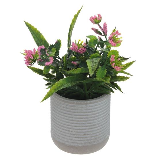 Цветочная композиция, L10 W10 H20 см, 3в.