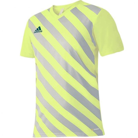 Мужская спортивная футболка желтого цвета с польским принтом adidas Entrada 22 Graphic Jersey M HF0118