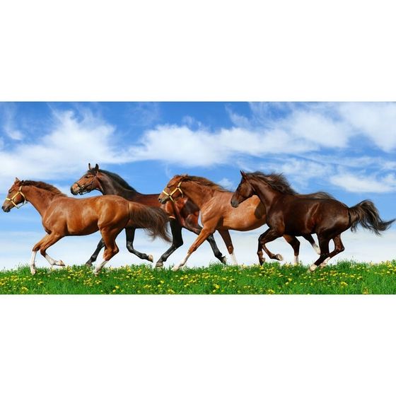 Фотосетка, 320 × 155 см, с фотопечатью, «Лошади»