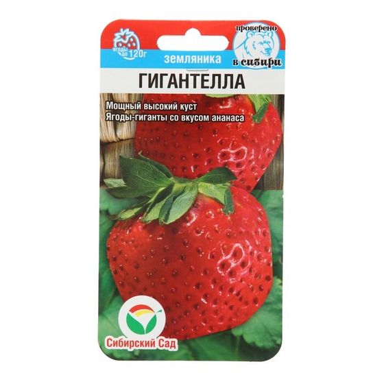 Семена Клубника &quot;Гигантелла&quot;, 10 шт