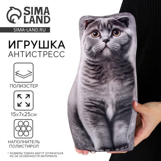 Антистресс игрушка, кот «Шотландец»