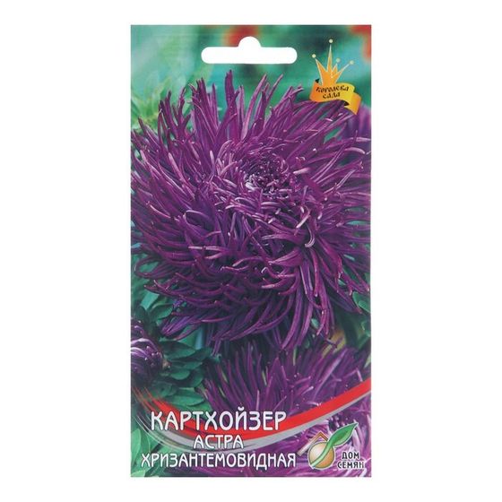Семена цветов Астра хризантемовидная &quot;Картхойзер&quot;, 95 шт