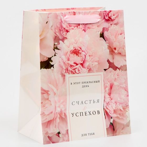 !Пакет ламинированный 2 штуки «Счастья и успехов» радужная голография, MS 18 х 23 х 10 см
