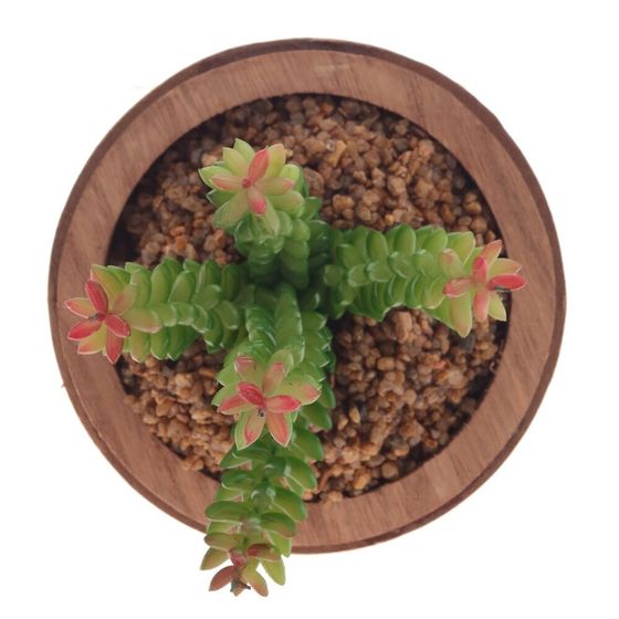 Цветочная композиция &quot;Суккулент&quot;, L19 W19 H24 см