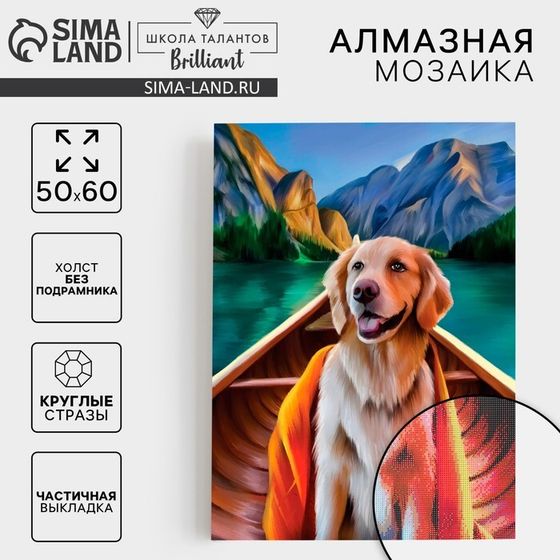 Алмазная мозаика с частичным заполнением на холсте «Пёс в лодке», 50 x 60 см