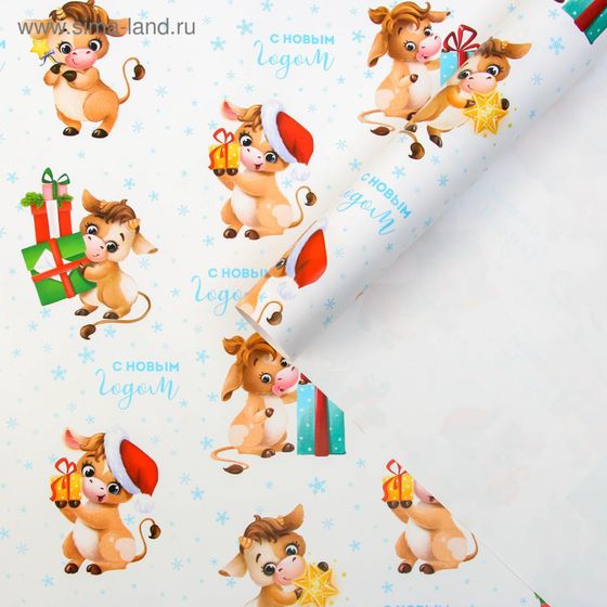 Бумага упаковочная глянцевая «Подарки», 2 листа 70 × 100 см