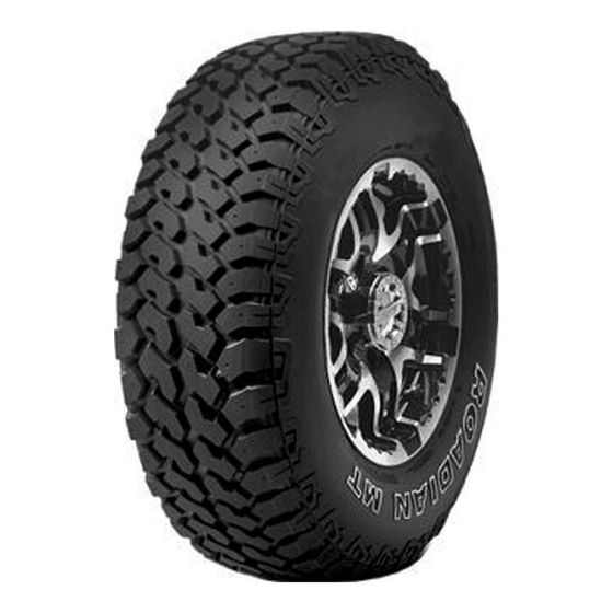 Шина летняя Roadstone Roadian MT 31/10.5 R15 109Q