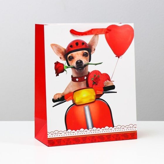 !09 Пакет (набор 4 штуки) подарочный ламинированный, 26 x 32 x 12 см.