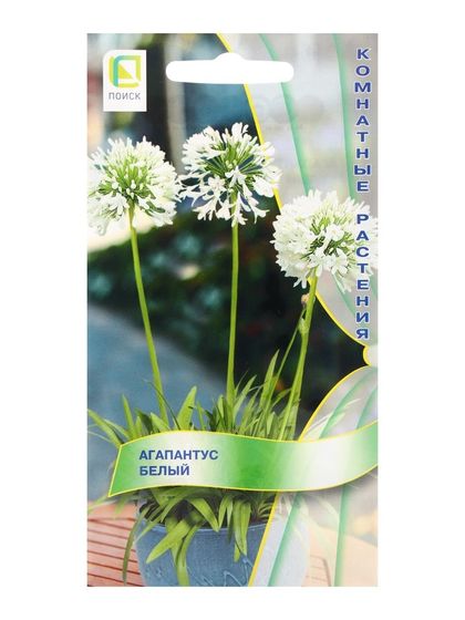 Семена цветов Агапантус Белый, 3шт