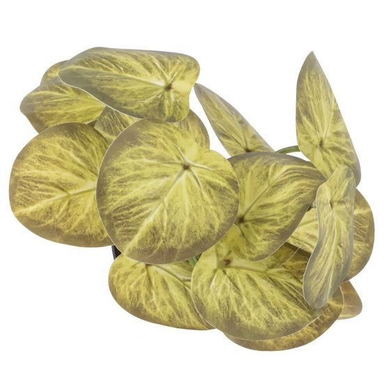 Цветочная композиция, L25 W25 H30 см, 5в.