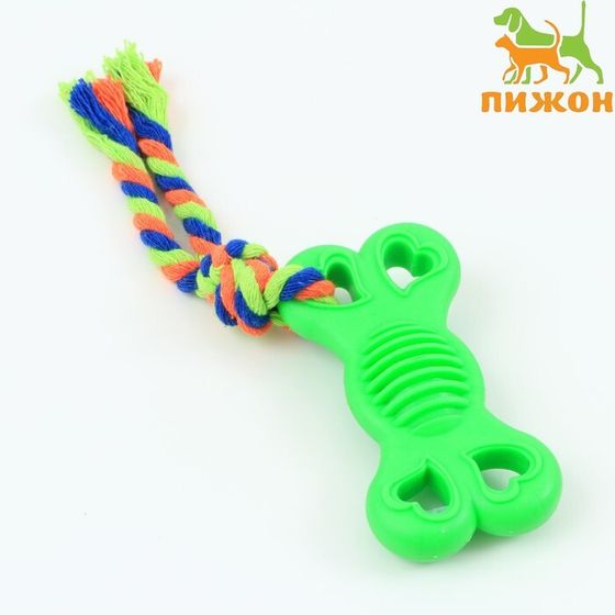 Игрушка жевательная с канатом &quot;Косточка на привязи&quot;, 9,5 см, зелёная
