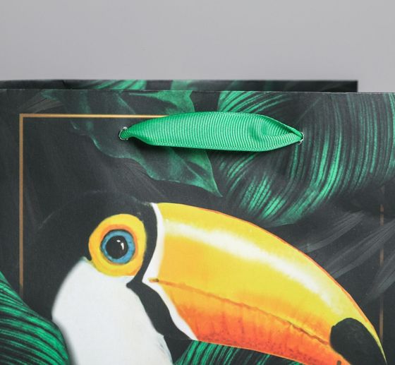 !09 Пакет подарочный (набор 5 штук) ламинированный вертикальный Tropical gift, MS 18 х 23 х 10 см