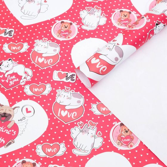 !09 Бумага глянцевая (набор 2 листа) "Котики" 70 × 100 см.