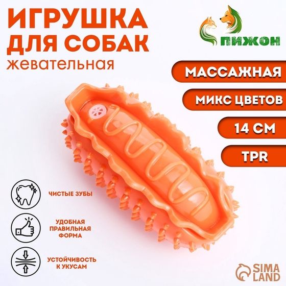 Игрушка массажная пищащая для собак &quot;Хот-дог&quot; 11 см, ТПР, микс цветов