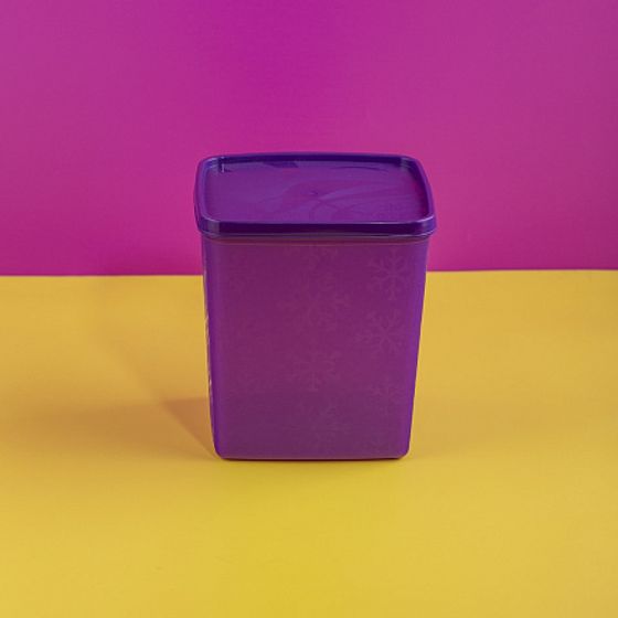 Контейнер для заморозки ALASKA 2л фиолетовый