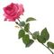 Цветок искусственный &quot;Роза&quot;  (Real Touch), L11 W12 H67 см
