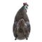 Фигурка декоративная &quot;Курица&quot;, L18,5 W10 H20 см