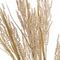 Ветка искусственная "Колос", L13 W9 H65 см