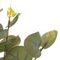 Ветка искусственная &quot;Эвкалипт&quot;, L15 W15 H35 см, 3в.