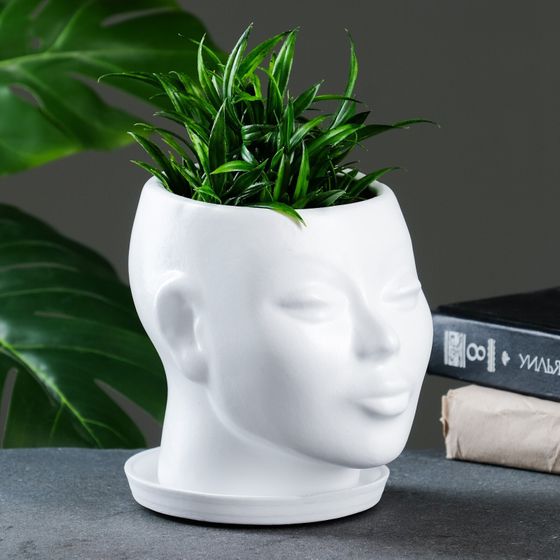 !09 Горшок - органайзер для цветов «Голова» керамика, 1.3 л, 16×16×14 см, без поддона цвет белый
