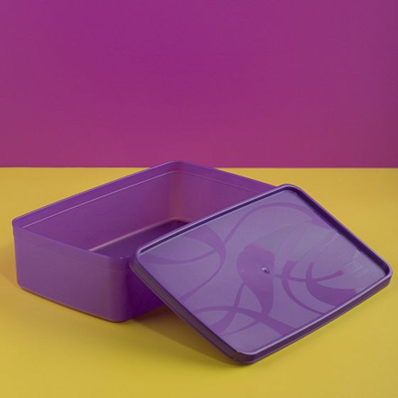 Контейнер для заморозки ALASKA 2.1л фиолетовый