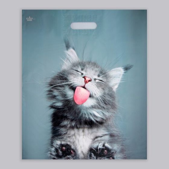 !Пакет &quot;Кот&quot; (10 шт), полиэтиленовый, с вырубной ручкой, 38 х 45 см, 60 мкм