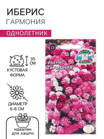 Семена цветов Иберис &quot;Гармония&quot;, Евро , 0,1 г
