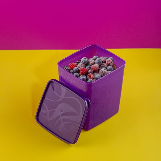 Контейнер для заморозки ALASKA 2л фиолетовый