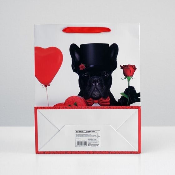 !09 Пакет (набор 3 штуки) подарочный ламинированный, 26 x 32 x 12 см.