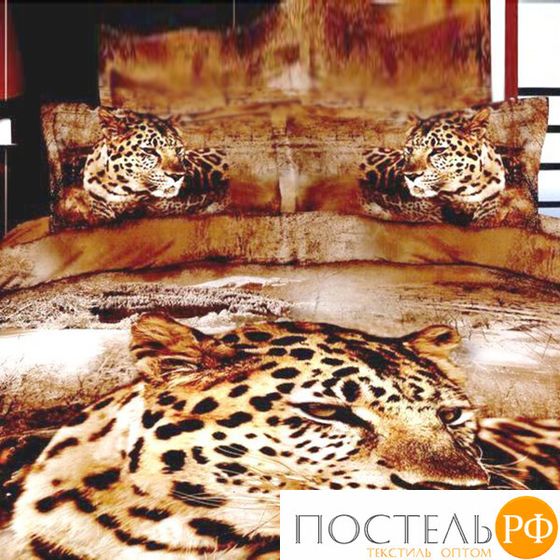 TS05-793 КОД1004, Постельное белье Tango Novella семейный 2 наволочки, Семейный, 50x70 (2 шт), Сатин, Коробка