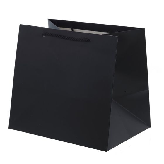 Пакет подарочный (бумага 230г/м2, блок 12шт), L28 W20 H25 см, 5в.