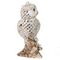 Фигурка декоративная "Сова", L10,5 W7,5 H14,5 см, 1 штука. дизайн микс