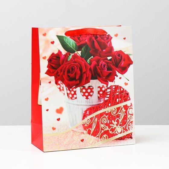 !09 Пакет (набор 3 штуки) ламинированный 26 x 32 x 12 см.