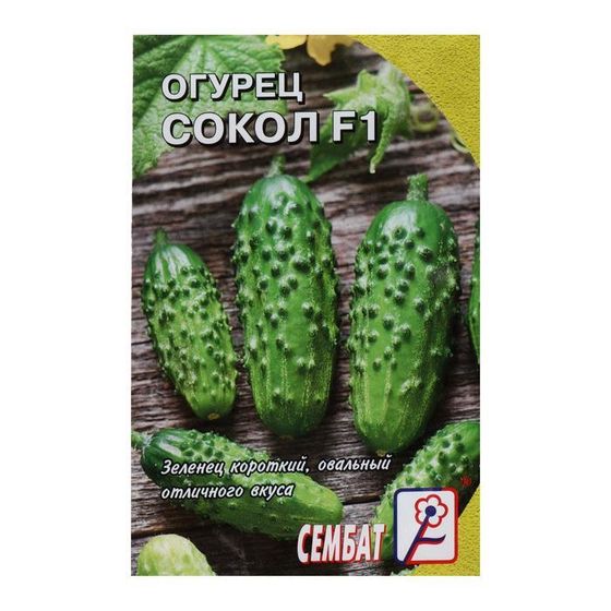 Семена Огурец &quot;Сокол&quot;, F1,  0,2 г