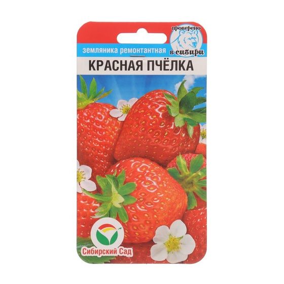 Земляника &quot;Красная пчелка&quot;, 10 шт