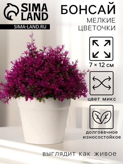 Бонсай в горшкке «Мелкие цветочки», h=12 см, высота горшка 7 см, МИКС