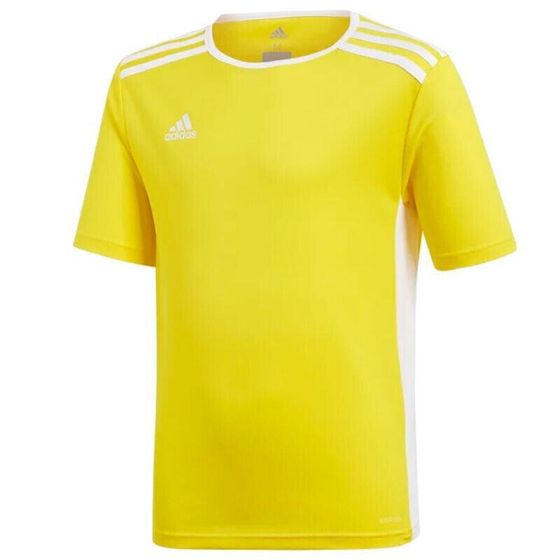 Мужская спортивная футболка желтая с логотипом adidas Entrada 18 Jsyy Jr CF1039