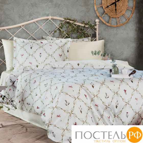 NT587D3 Комплект постельного белья Tivolyo home MIRABEL семейный