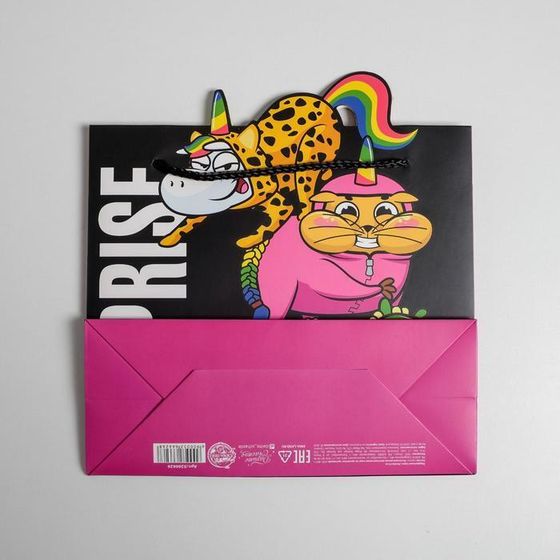 !09 Пакет подарочный Surpprise, набор 2 штуки, 25 × 26 × 10 см.