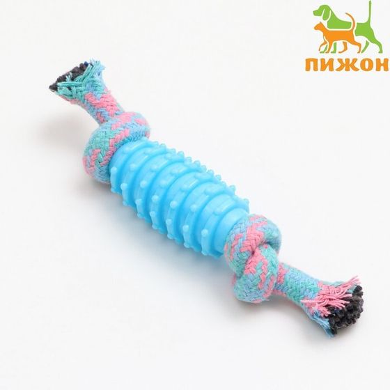 Игрушка жевательная &quot;Элемент&quot;, 17 х 3,2 см, голубая/розовая