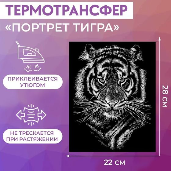 Термотрансфер «Портрет тигра», 22 × 28 см