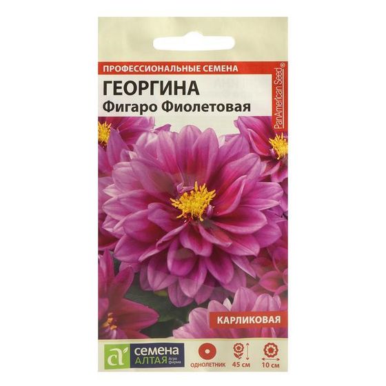 Семена цветов Георгина &quot;Фигаро&quot;, фиолетовая, махровая, Сем. Алт, ц/п, 5 шт