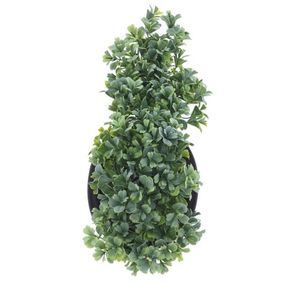 Цветочная композиция "Бонсай", L32 W13 H19 см, 1 штука, дизайн микс