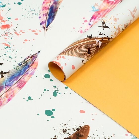 !Бумага упаковочная 2 листа глянцевая, двусторонняя &quot;Перья&quot;, рисунок, 100 х 70 см